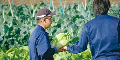 鹿児島県議会、農福連携推進を知事に提言（南日本新聞）