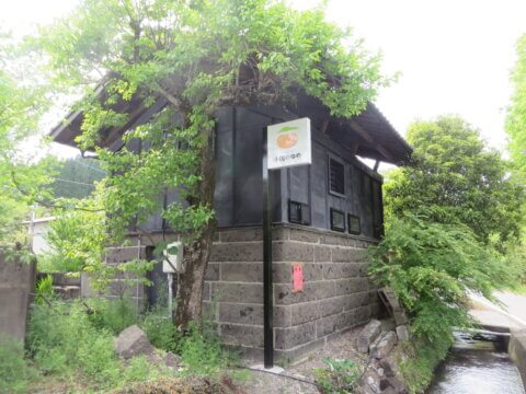 京都府京田辺市で「さんさんグリーン茶摘みの集い」参加者を募集！5月16日〜31日