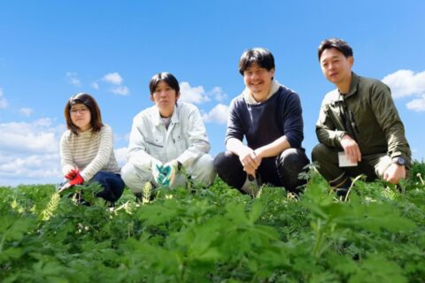 よもぎのお風呂