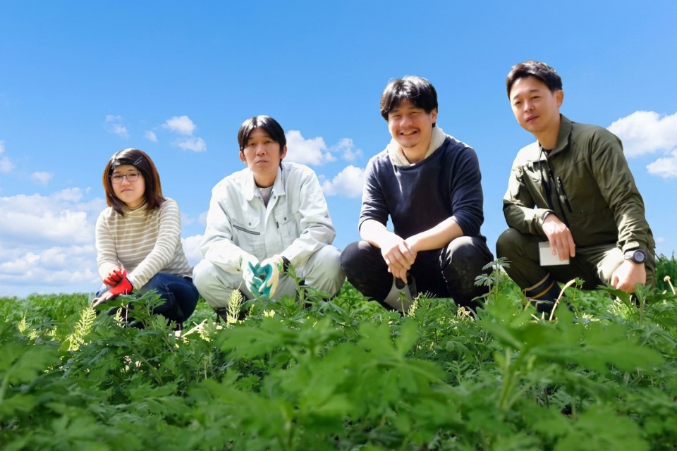 よもぎのお風呂