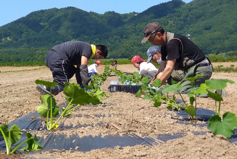 玄米と雑穀セット