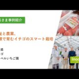 温泉熱を利用！大分県別府市の「ウェルファームMINORI」による”利用者ファースト”のミニトマト栽培とは（inochio group）