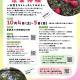 長野県松川町のウィズファームで「森林セラピーと農業体験～五感をストレッチしてみよう～」開催！10月4日•5日（OSDよりそいネットワーク）