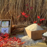 令和7年度産：天日干し自然栽培米コシヒカリ真空キューブ米【白米】（７年目）