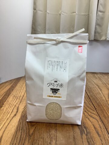 令和7年度産:自然栽培米コシヒカリ【白米3kg】(1年目)