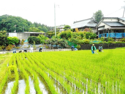 あわらの梨ジュース 2本箱詰めセット