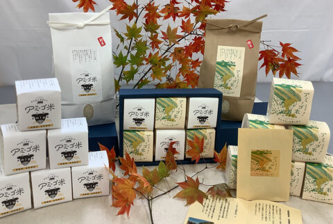 令和7年度産:天日干し自然栽培米コシヒカリ真空キューブ米【白米】(7年目)