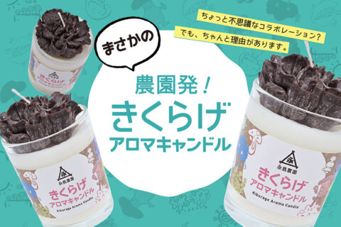 神奈川県横浜市の永島農園×Wahaha×ワンヘルスラボで「きくらげアロマキャンドル」発売！1月10日