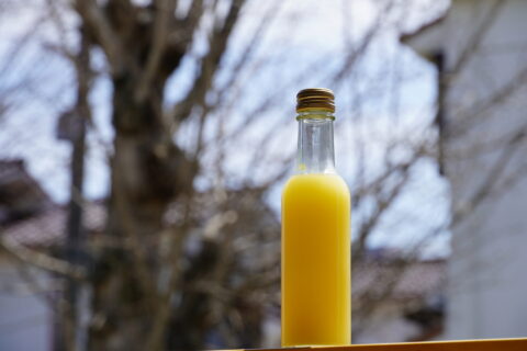 神宿る島のレモン果汁  ※化学肥料・化学農薬不使用