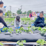 スカイアースファーム苗植え体験に50名以上集まる