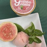 南国にしがわ農園のなめらかジェラート