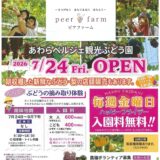 福井県あわら市のピアファームが「あわらベルジェ観光ぶどう園」開園！7月24日〜