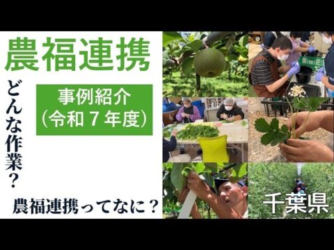 【動画】千葉県が農福連携の事例を紹介！