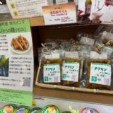 竹林面積が全国一・鹿児島から生まれた、大崎町「竹の資源化モデル」の展開可能性とは（KTS鹿児島テレビ）