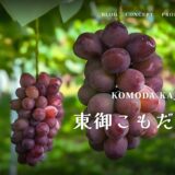東御こもだ果樹園、「第64回全国青年農業者会議」プロジェクト発表で会長賞を受賞!