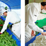 パーソルダイバース とみおか繭工房、群馬県富岡市の「富岡市景観賞」を受賞！里山景観を取り戻す活動が高く評価